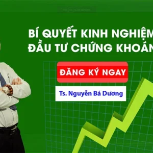 Khóa học bí quyết kinh nghiệm đầu tư chứng khoán – Nguyễn Bá Dương