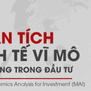 Khóa học Phân tích kinh tế vĩ mô ứng dụng trong đầu tư MAI